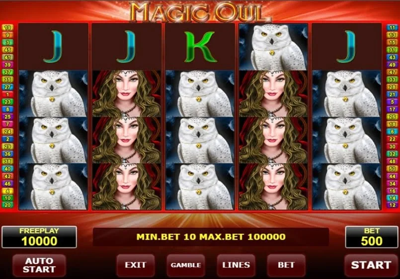 Gioco di Magic Owl