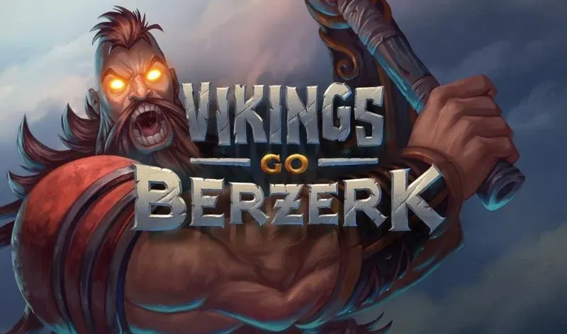 Mecánica medidor ira