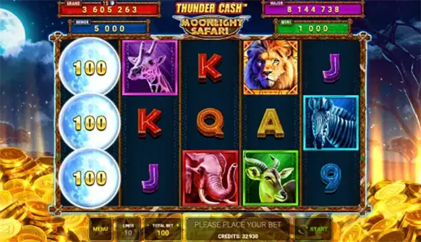 Safari Slot Symbole